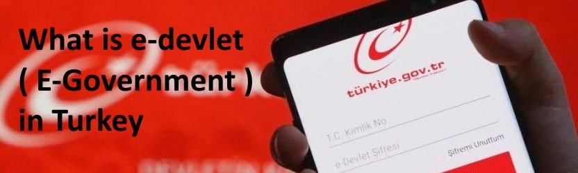 What is E-Devlet ( E-Goverment ) in Turkey